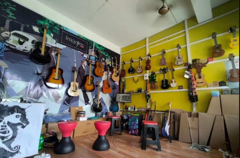 Why Kalyani Musical is a Must-Experience for Music Lovers